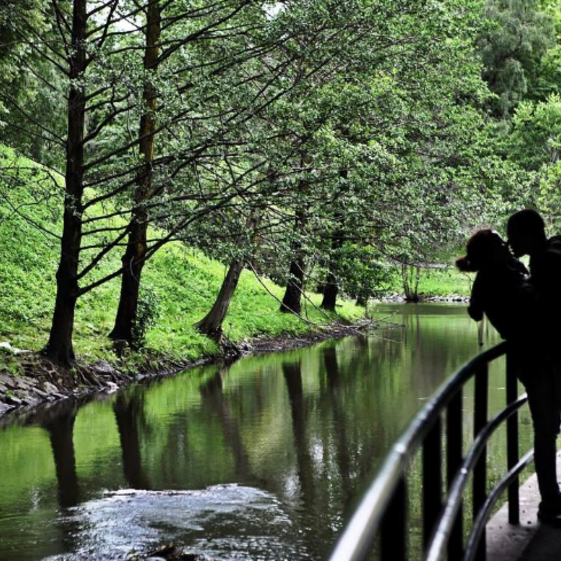 Sara Matos, Pedro Teixeira