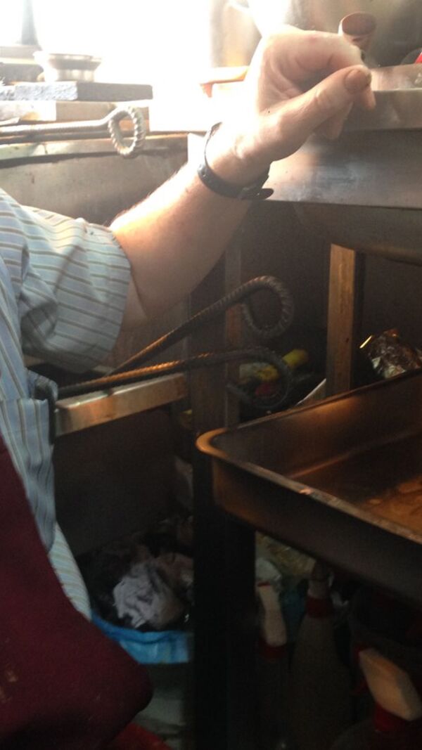 Pesadelo na cozinha, o canela, manuel canela