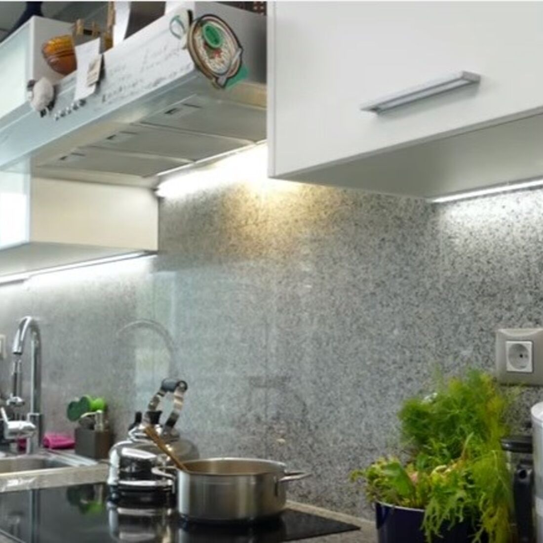 Ljubomir Stanisic, 100 Maneiras, TVI, Pesadelo na Cozinha