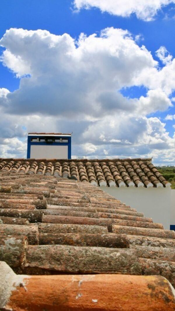 Manuel Luís Goucha, Alentejo