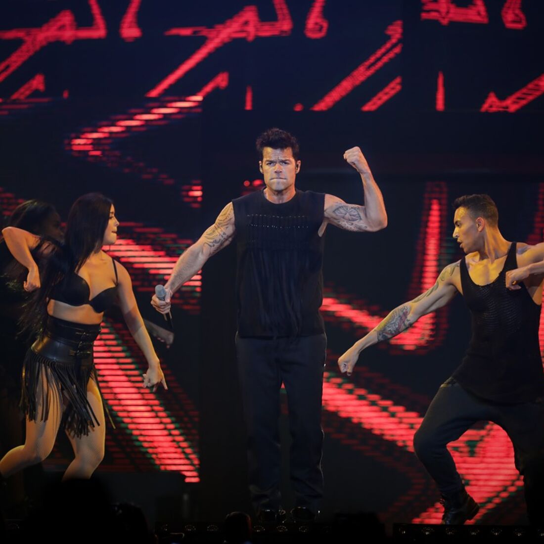 Ricky Martin, Meo arenas