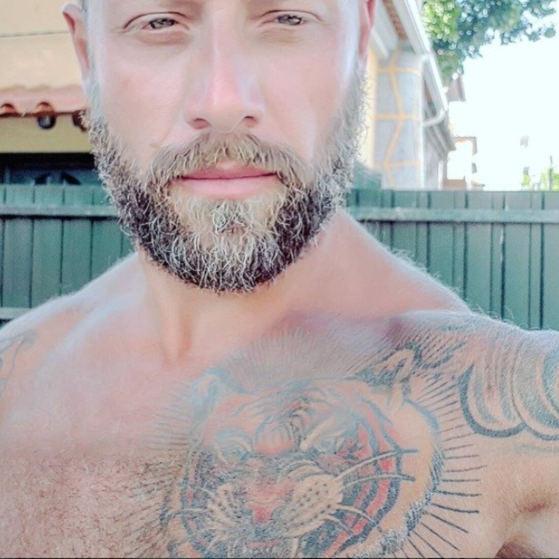 Jorge moreira (ana malhoa)