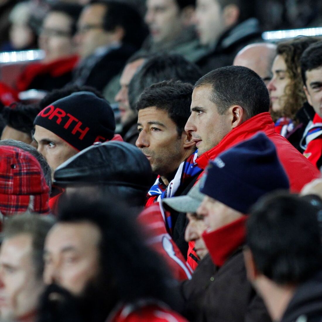 tiago dores, gato fedorento