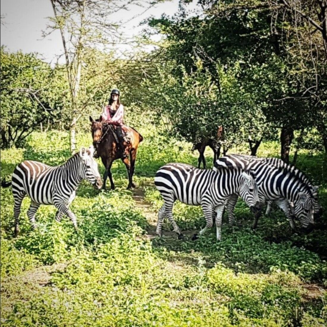 Rita Pereira, atriz, tanzânia, férias