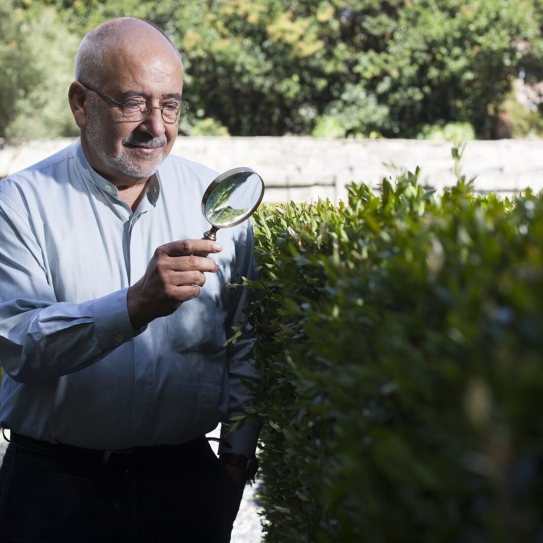 Francisco Moita Flores 