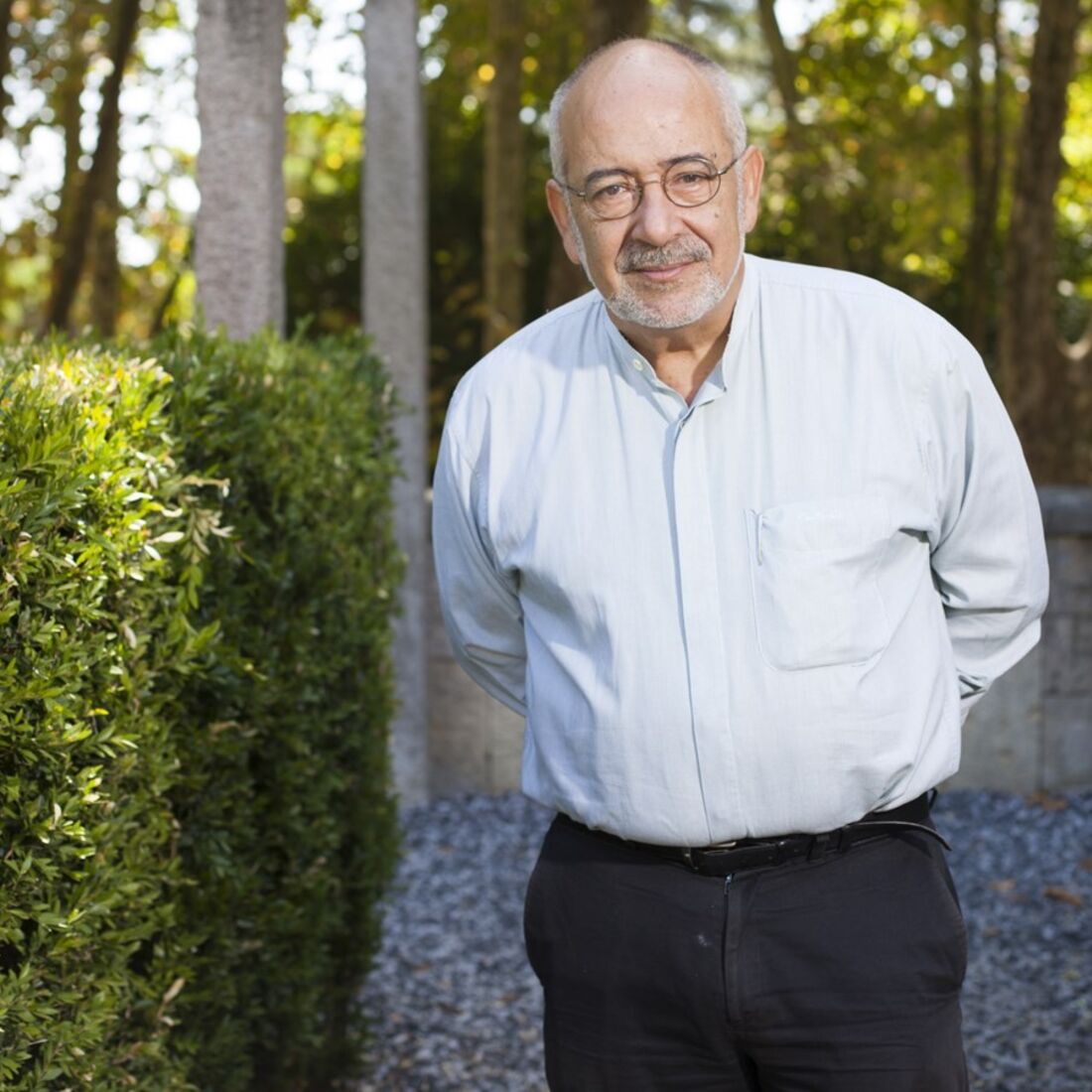 Francisco Moita Flores 