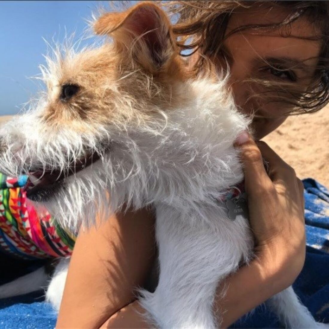 daniel oliveira, andreia rodrigues