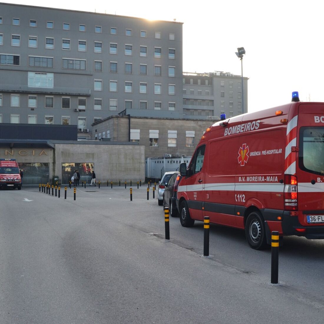 Pinto da Costa, FCP, queda