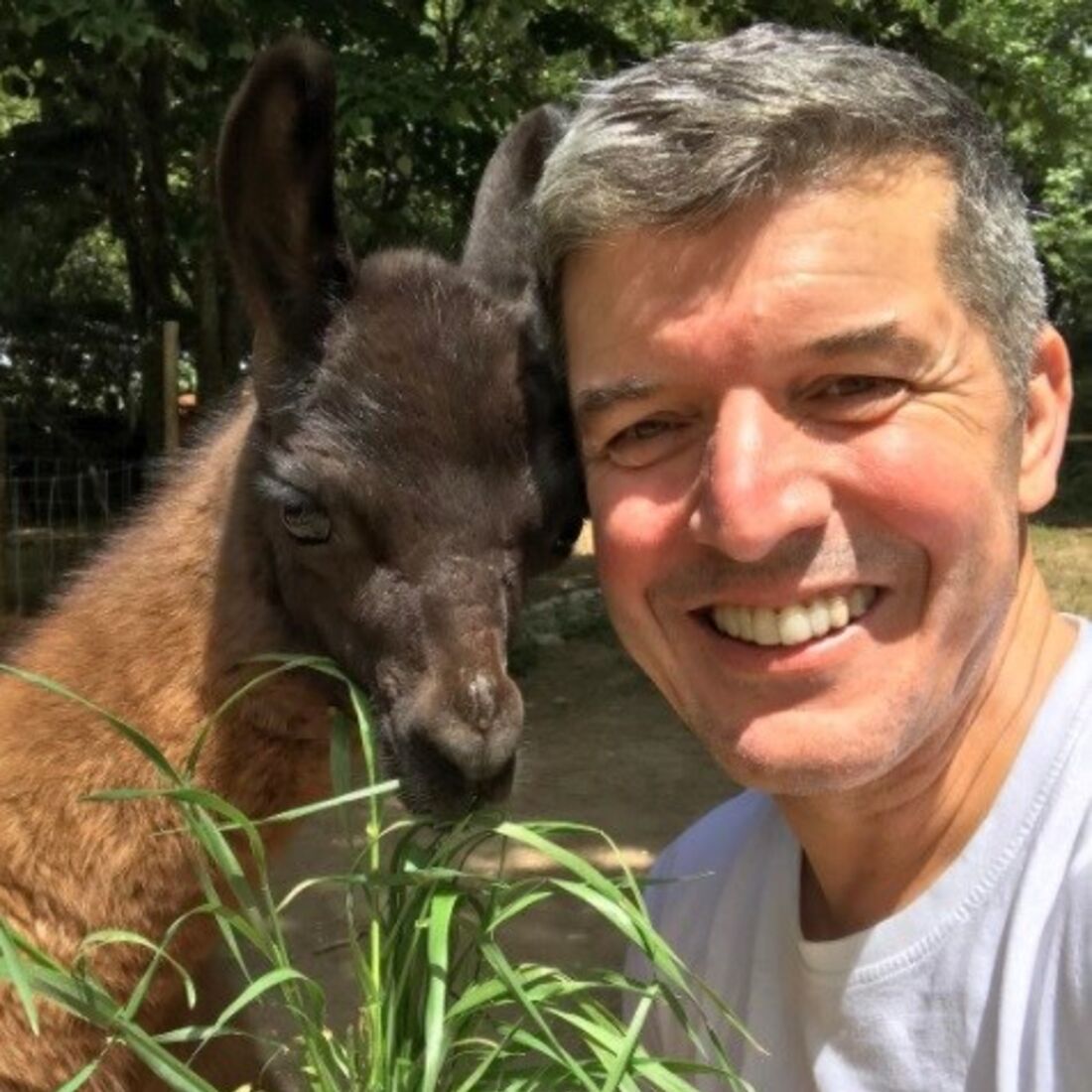 João Baião, SIC, quinta, animais exóticos