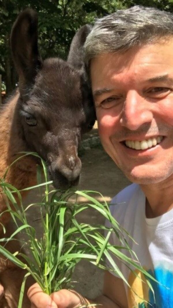 João Baião, SIC, quinta, animais exóticos