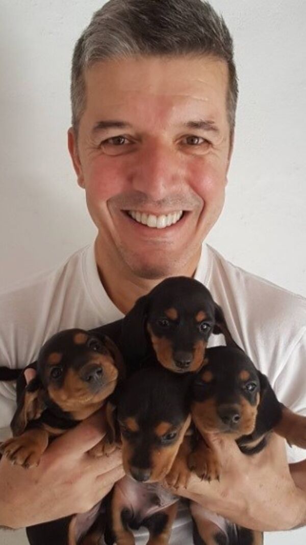 João Baião, SIC, quinta, animais exóticos