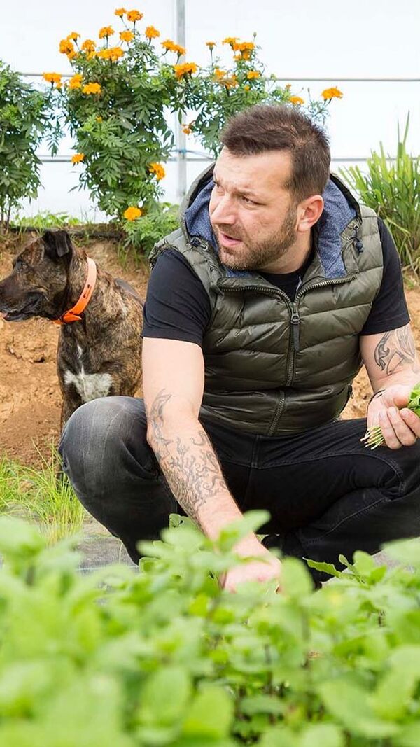 Ljubomir Stanisic, pesadelo na cozinha, tvi