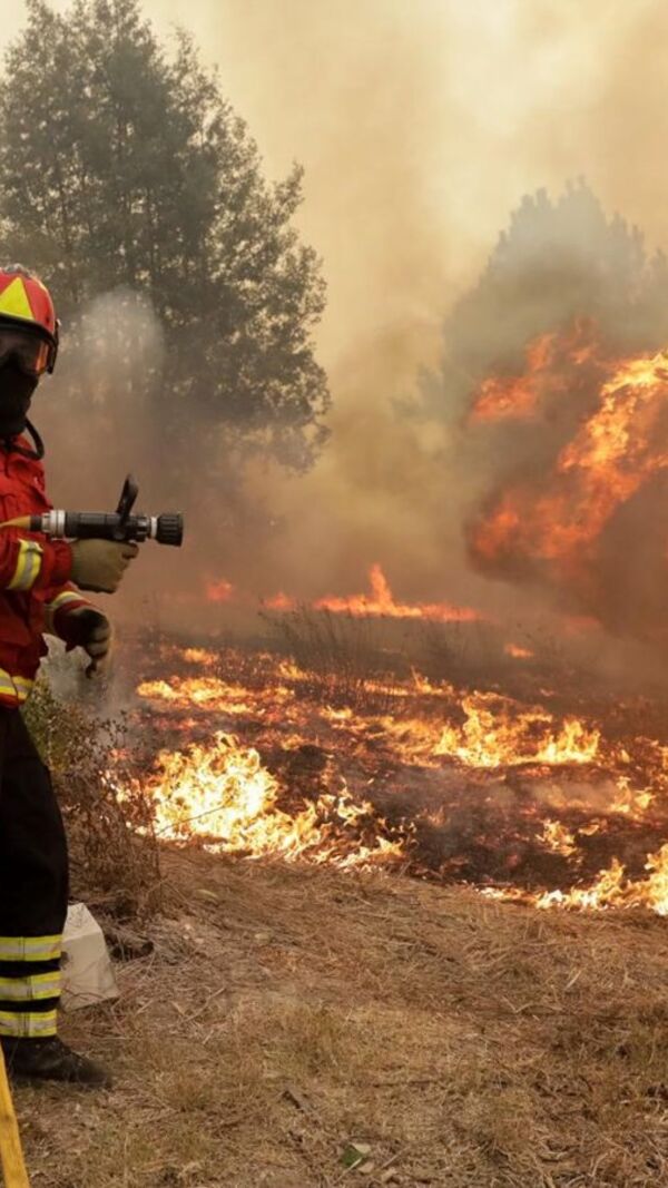 incêndios, país a arder,