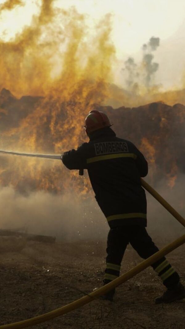 incêndios, país a arder,