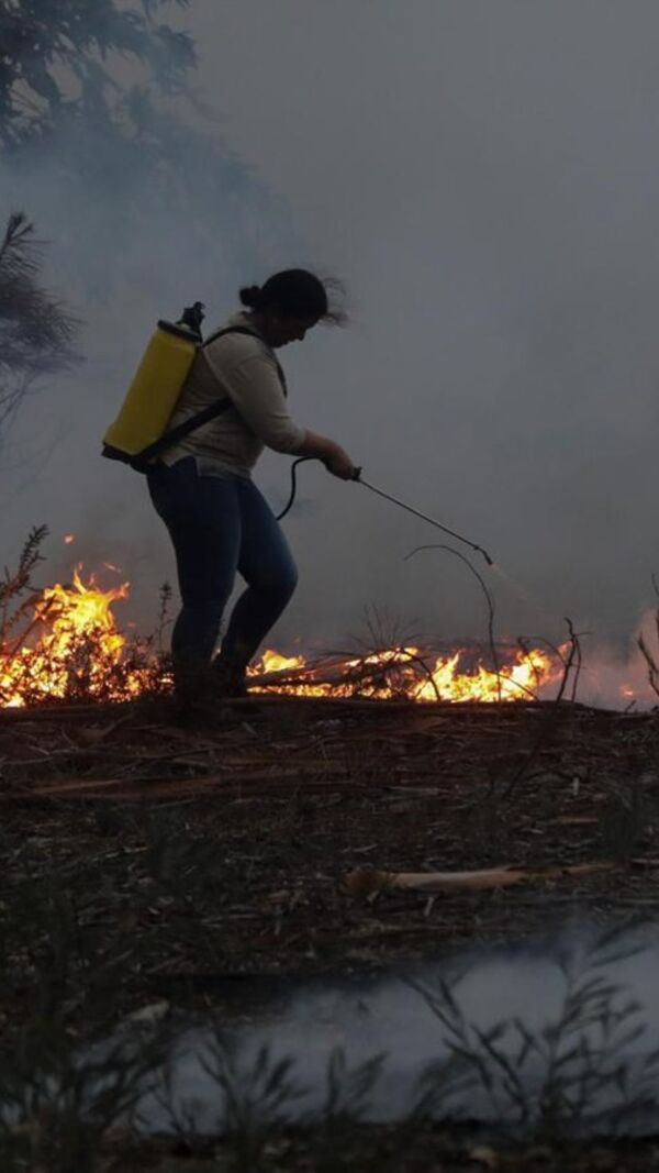 incêndios, país a arder,