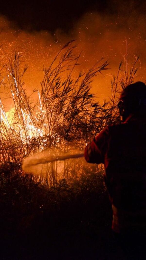 incêndios, país a arder,