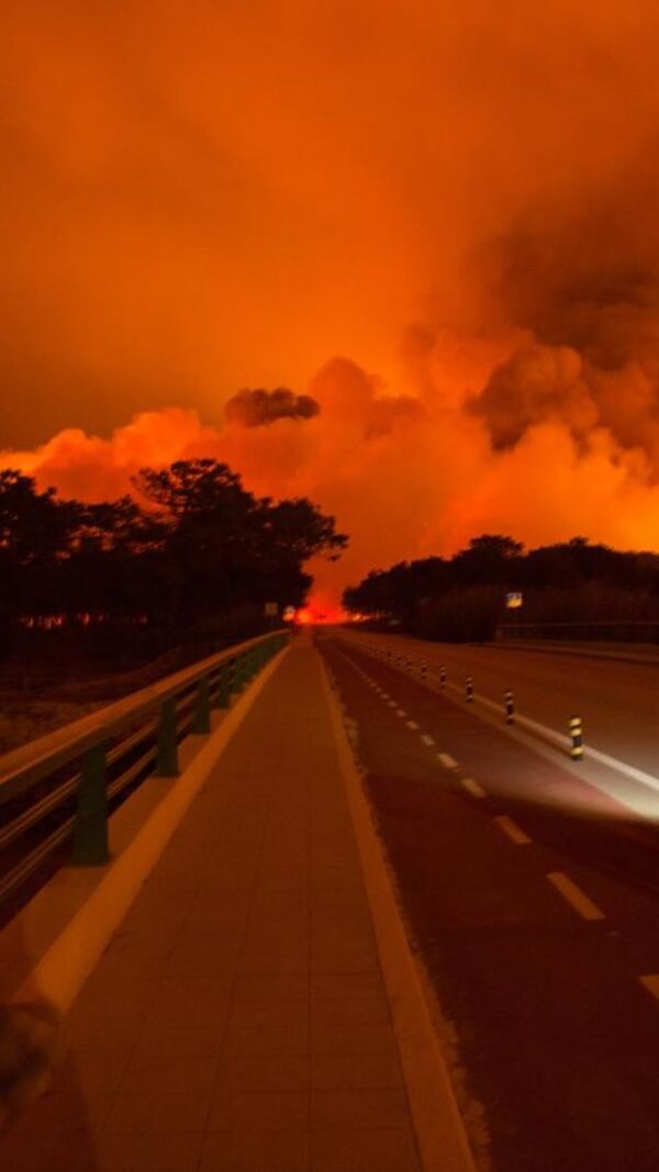 incêndios, país a arder,