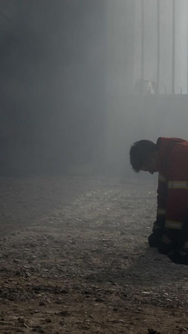 Incêndios, fogos, pânico, calamidade, país em chamas