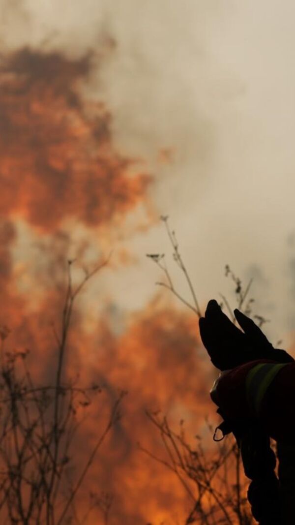 chamas, fogo, incêndio