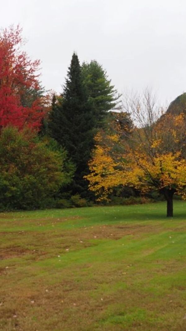 José Alberto Carvalho, Maine