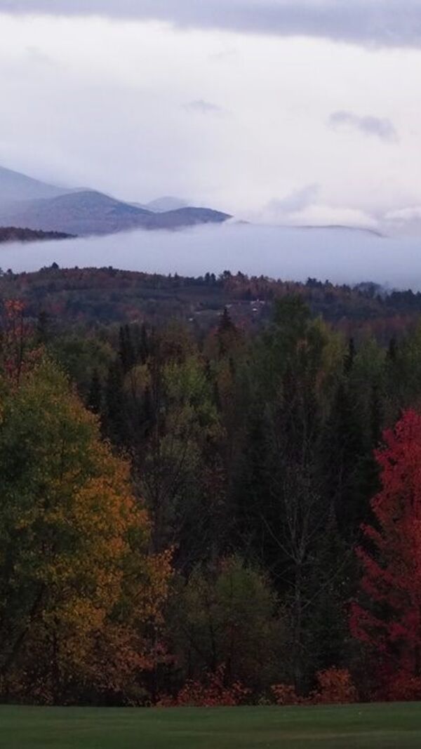 José Alberto Carvalho, Maine