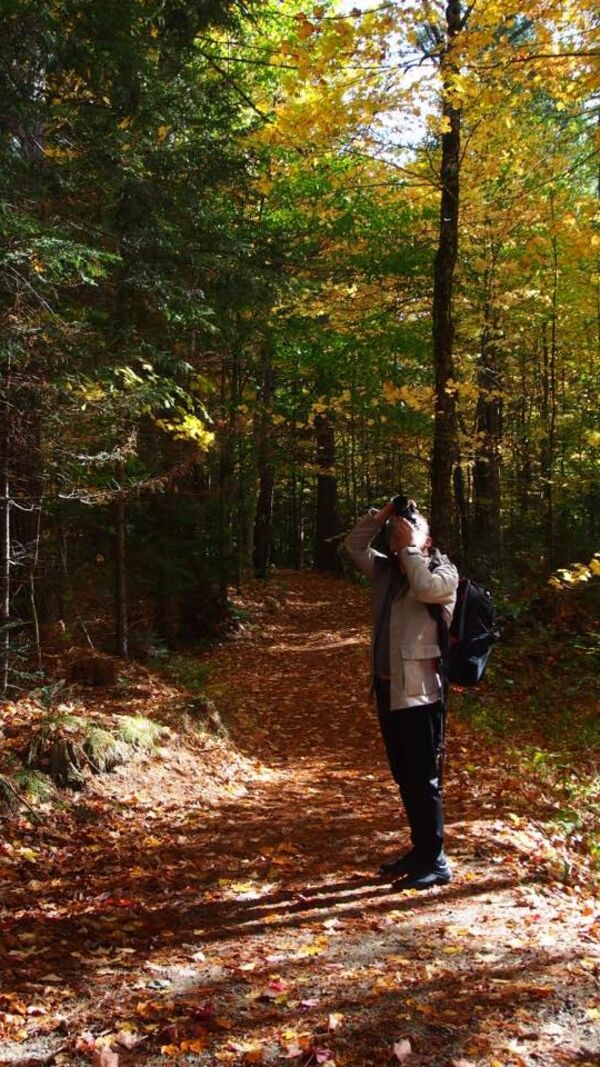 José Alberto Carvalho, Maine