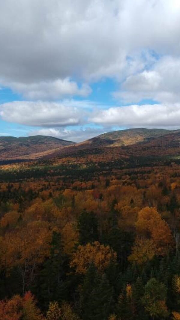 José Alberto Carvalho, Maine