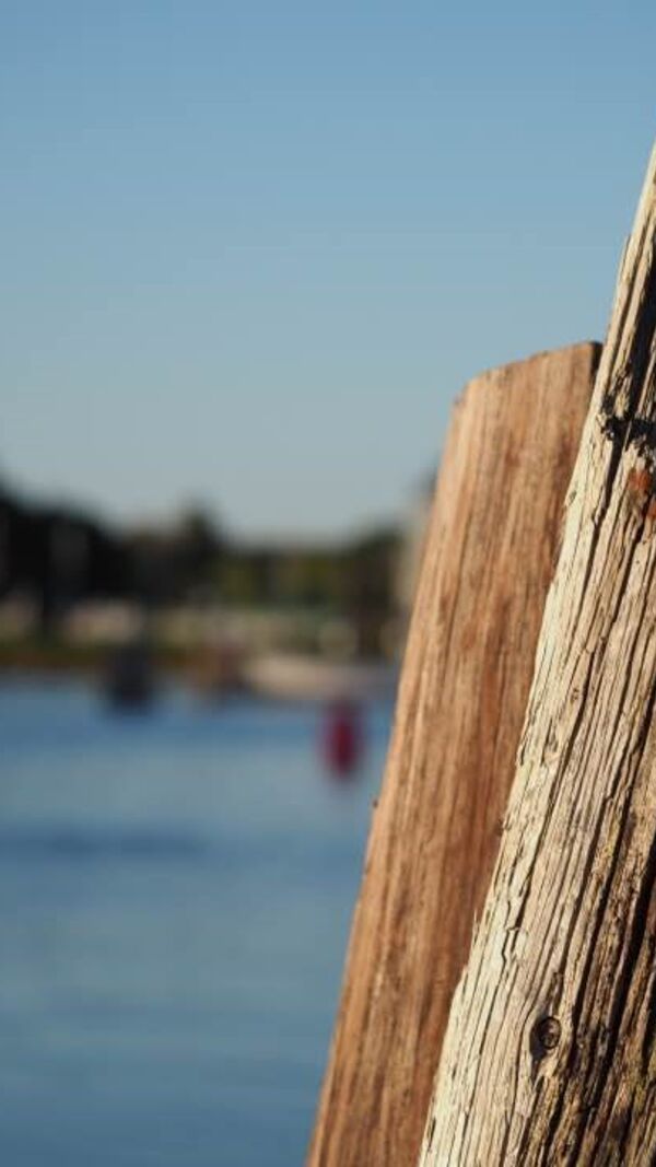 José Alberto Carvalho, Maine