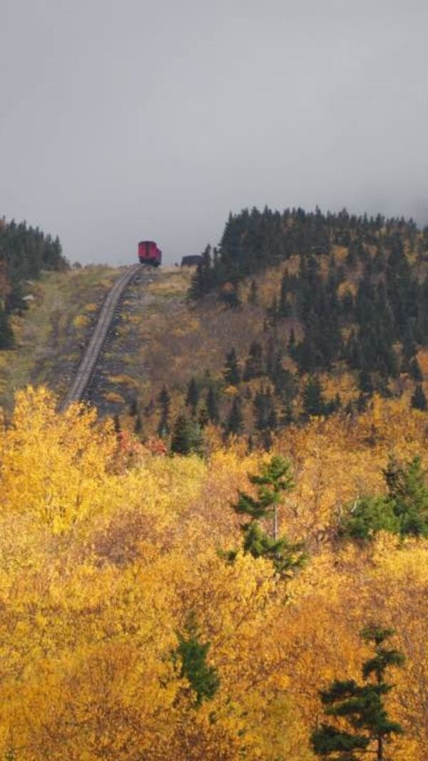 José Alberto Carvalho, Maine