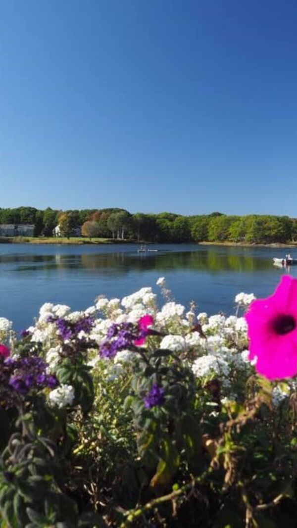 José Alberto Carvalho, Maine