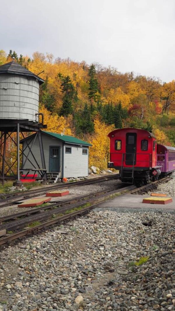 José Alberto Carvalho, Maine