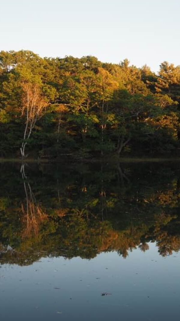 José Alberto Carvalho, Maine