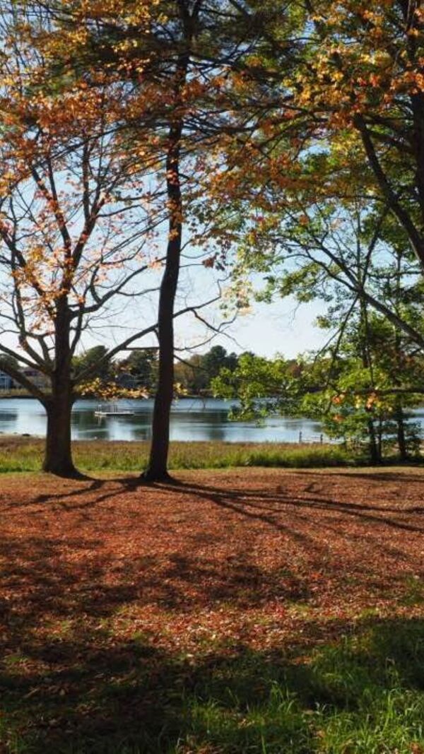 José Alberto Carvalho, Maine