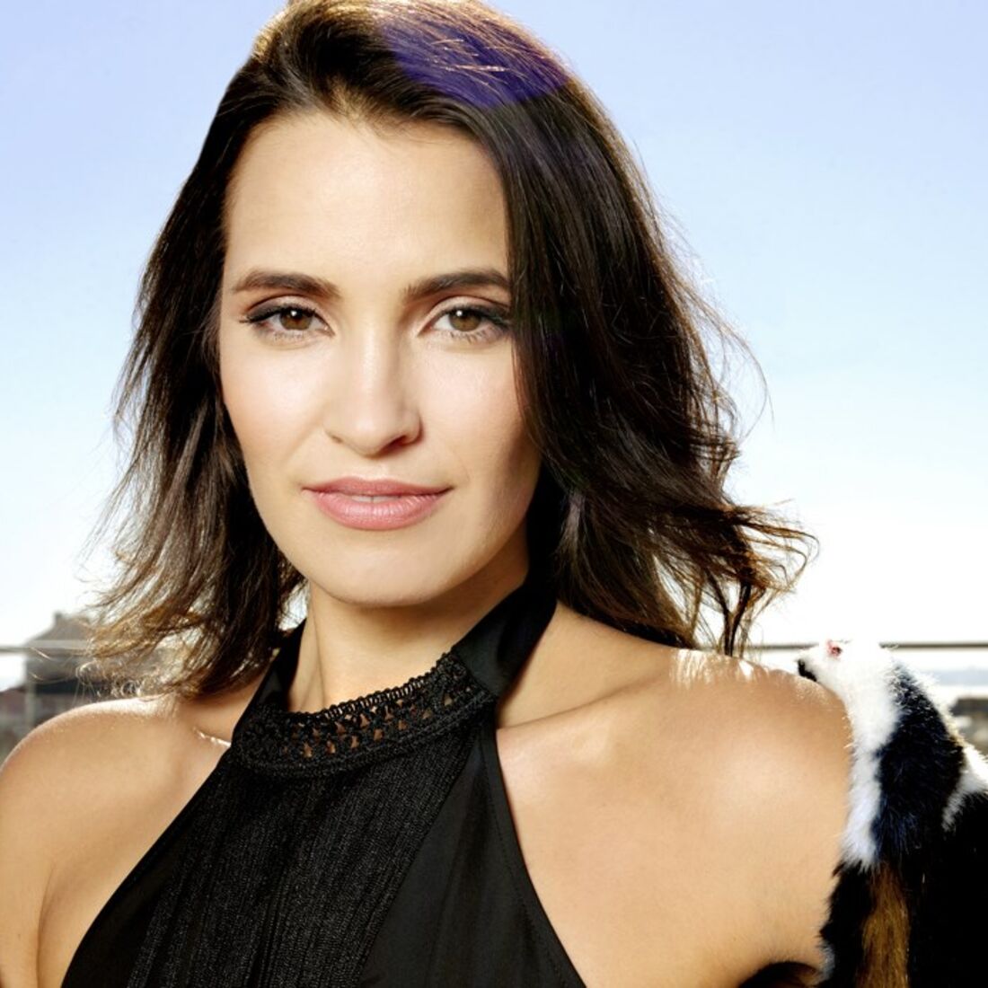 Teresa Medeiros, menina preço certo