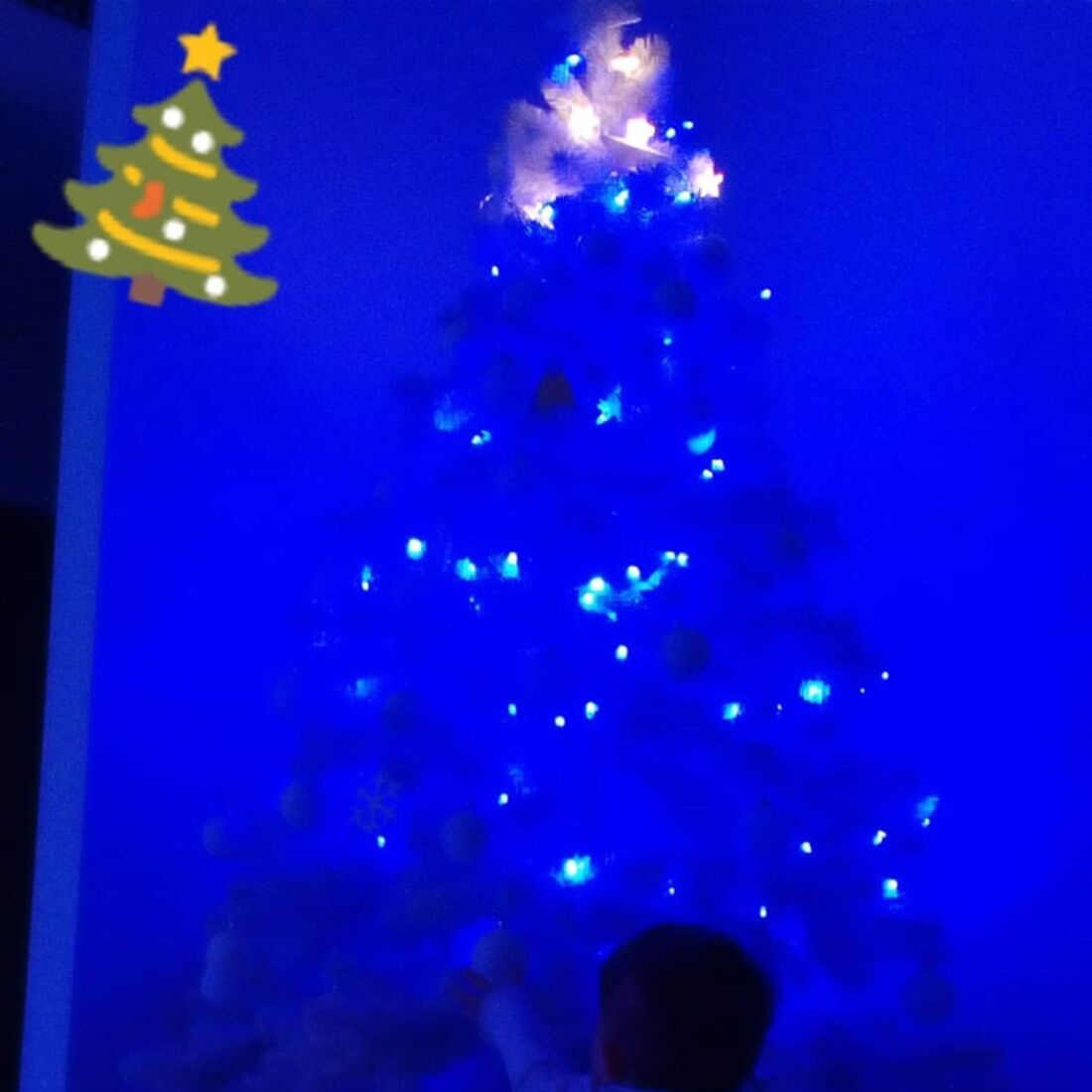 mickael carreira, laura figueiredo, beatriz