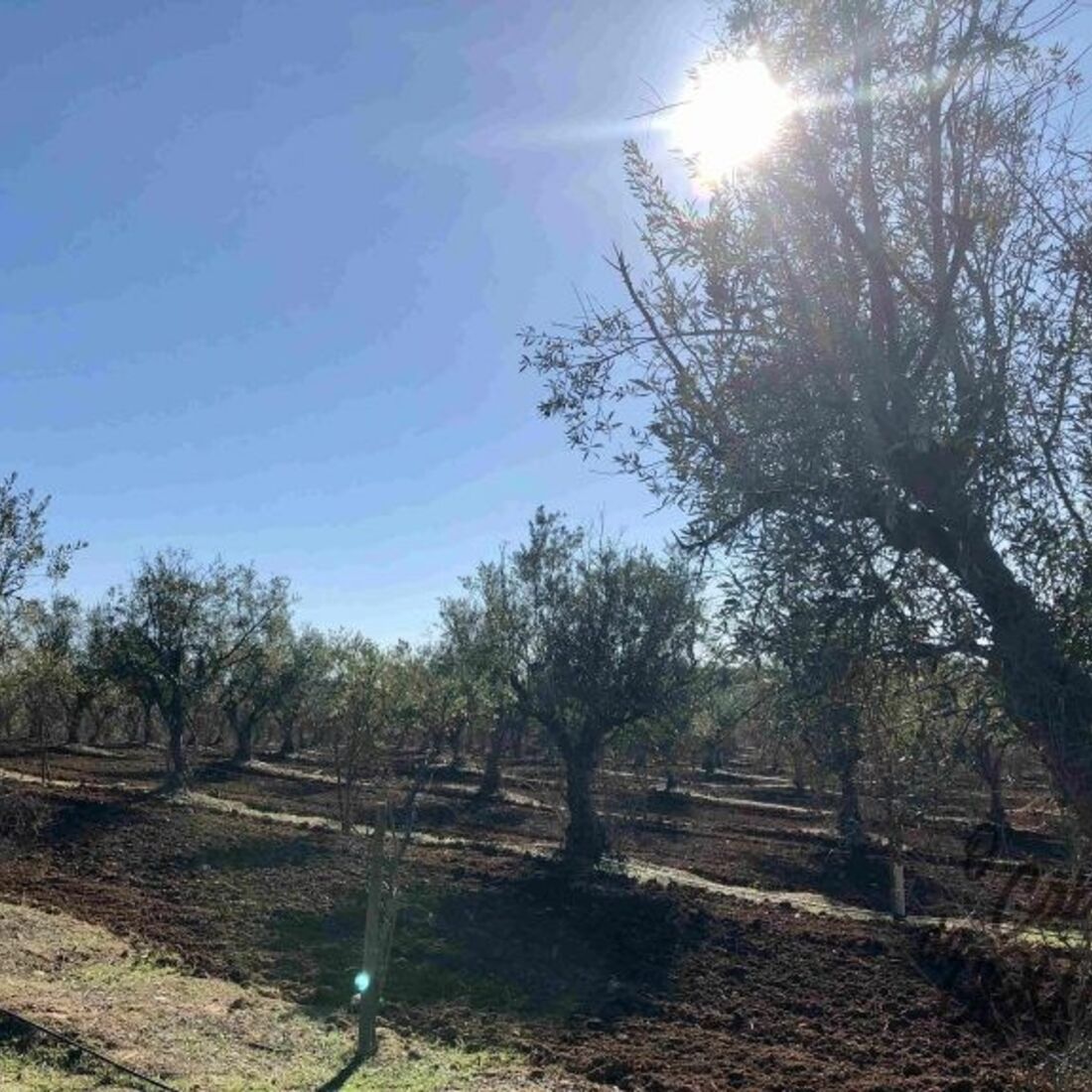 Monte Manuel Luís Goucha