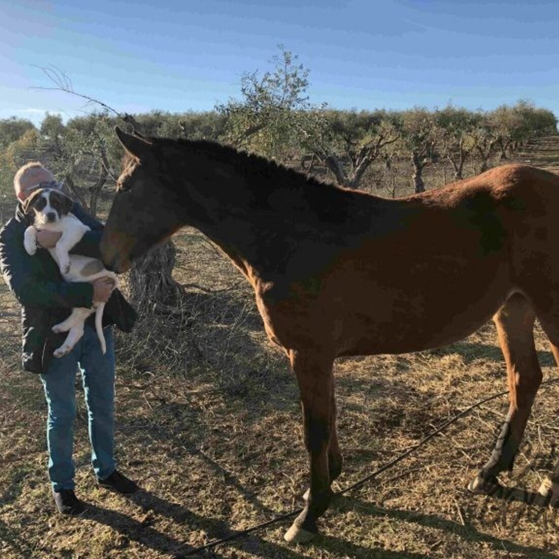 Monte Manuel Luís Goucha