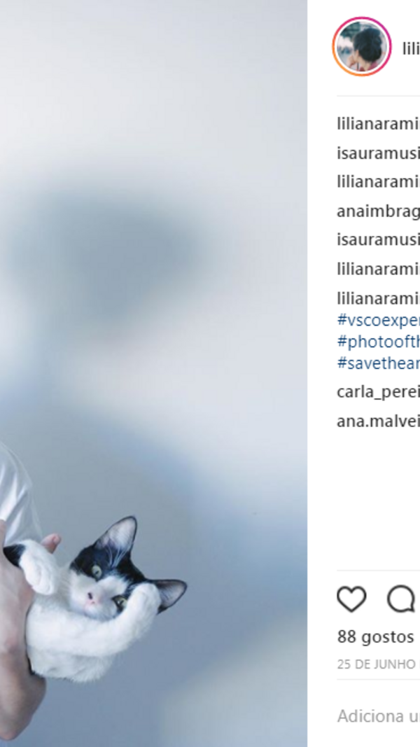 isaura, liliana, namorada