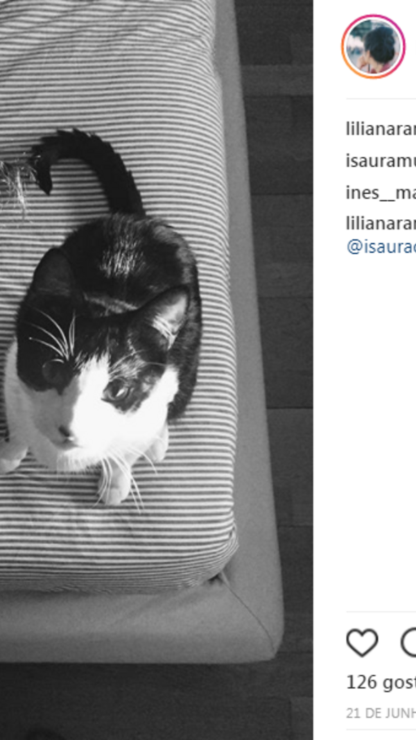 isaura, liliana, namorada