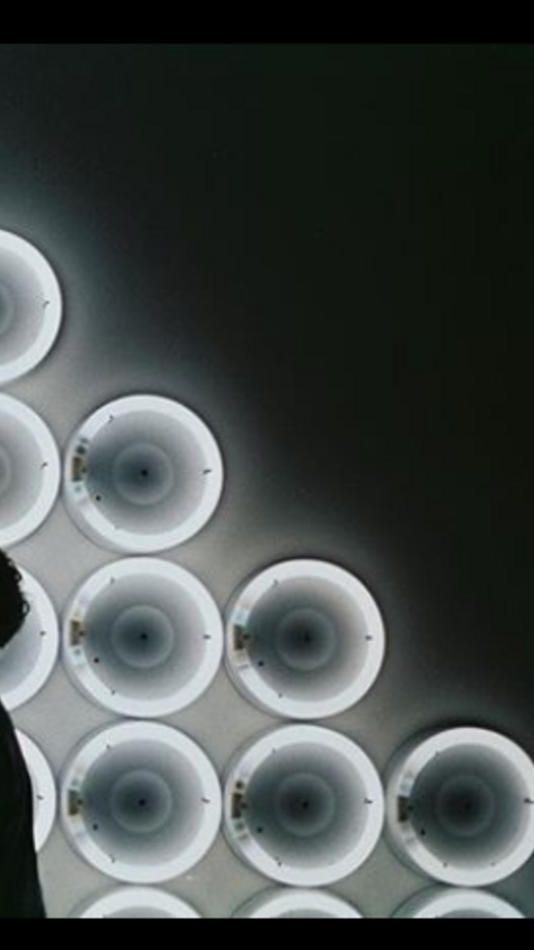 isaura, liliana, namorada