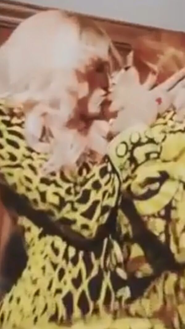 Catarina Furtado, Daniela Ruah