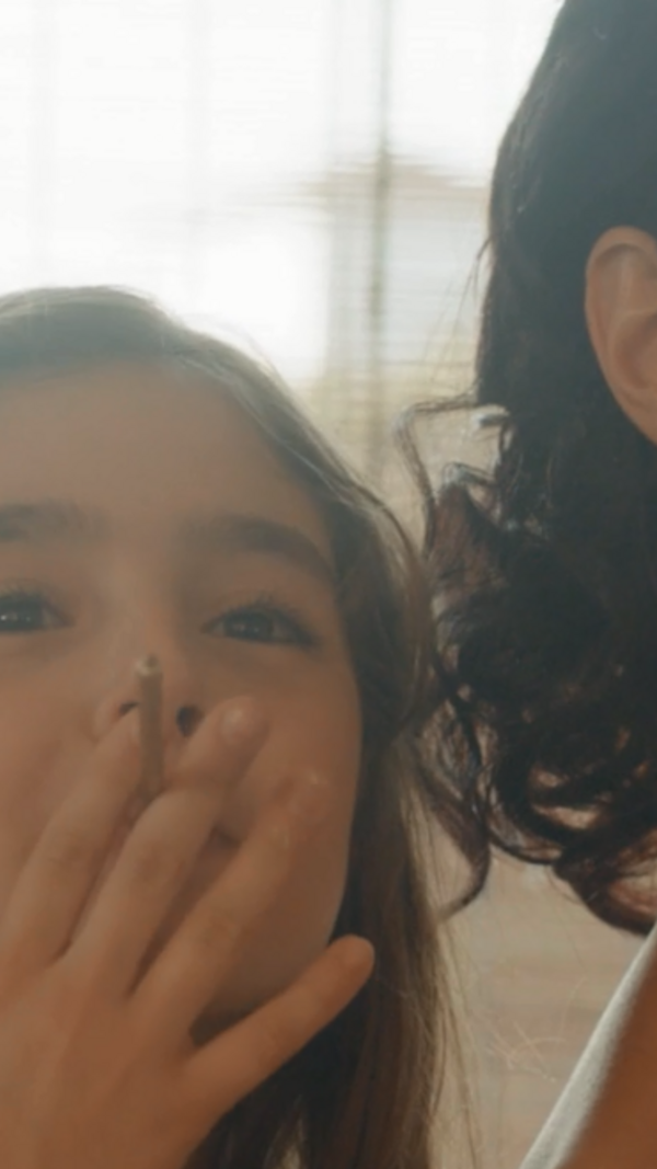 Paula Neves, Ministério da Saúde, Opte por Amar Mais