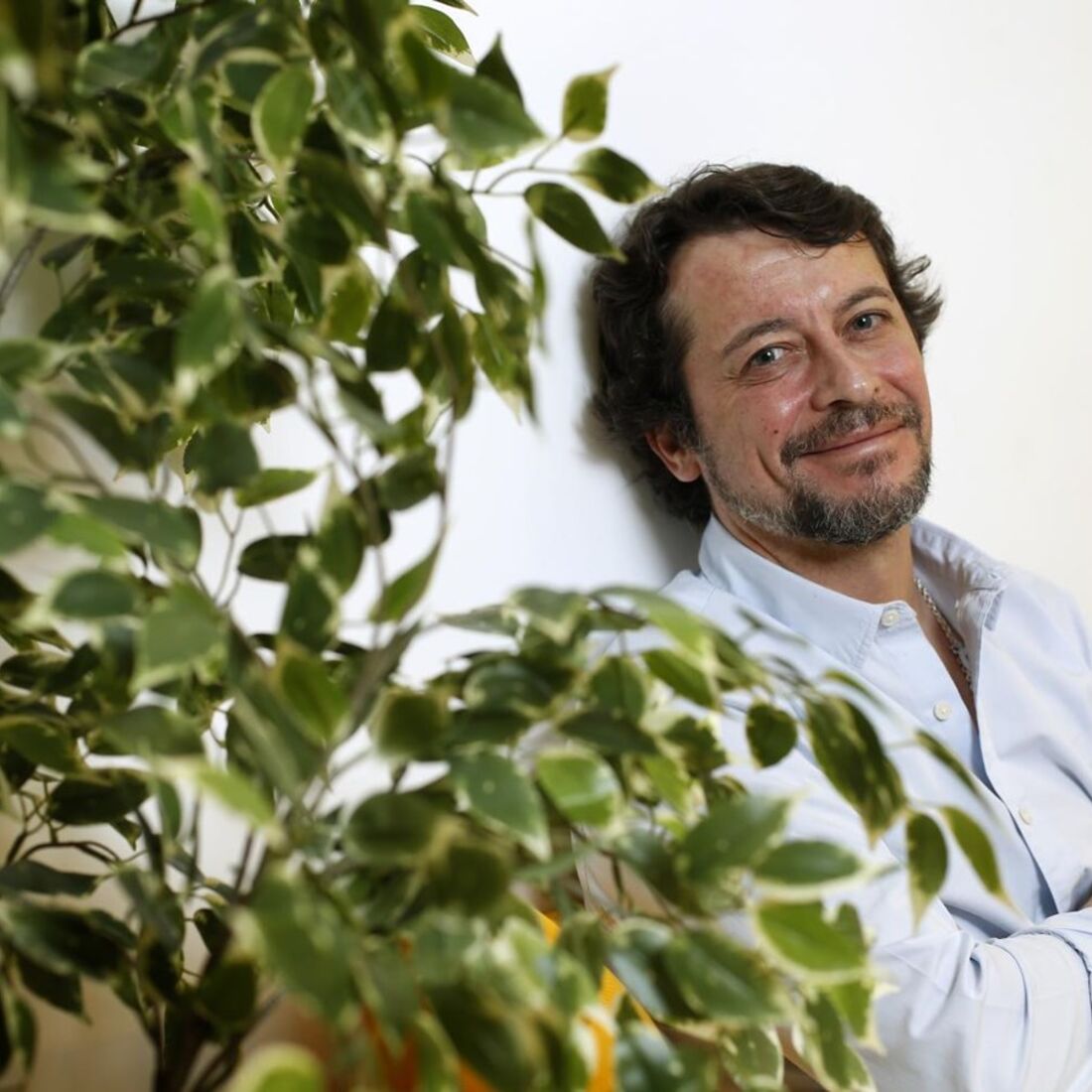 António Pedro Cerdeira