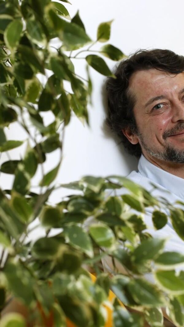 António Pedro Cerdeira