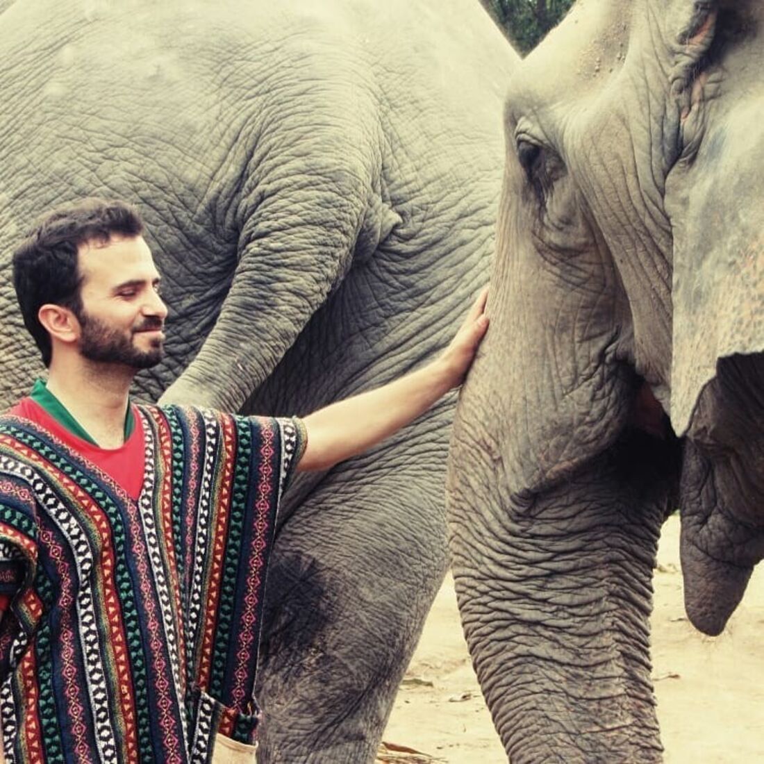 tiago castro, morangos com açúcar, ator, televisão