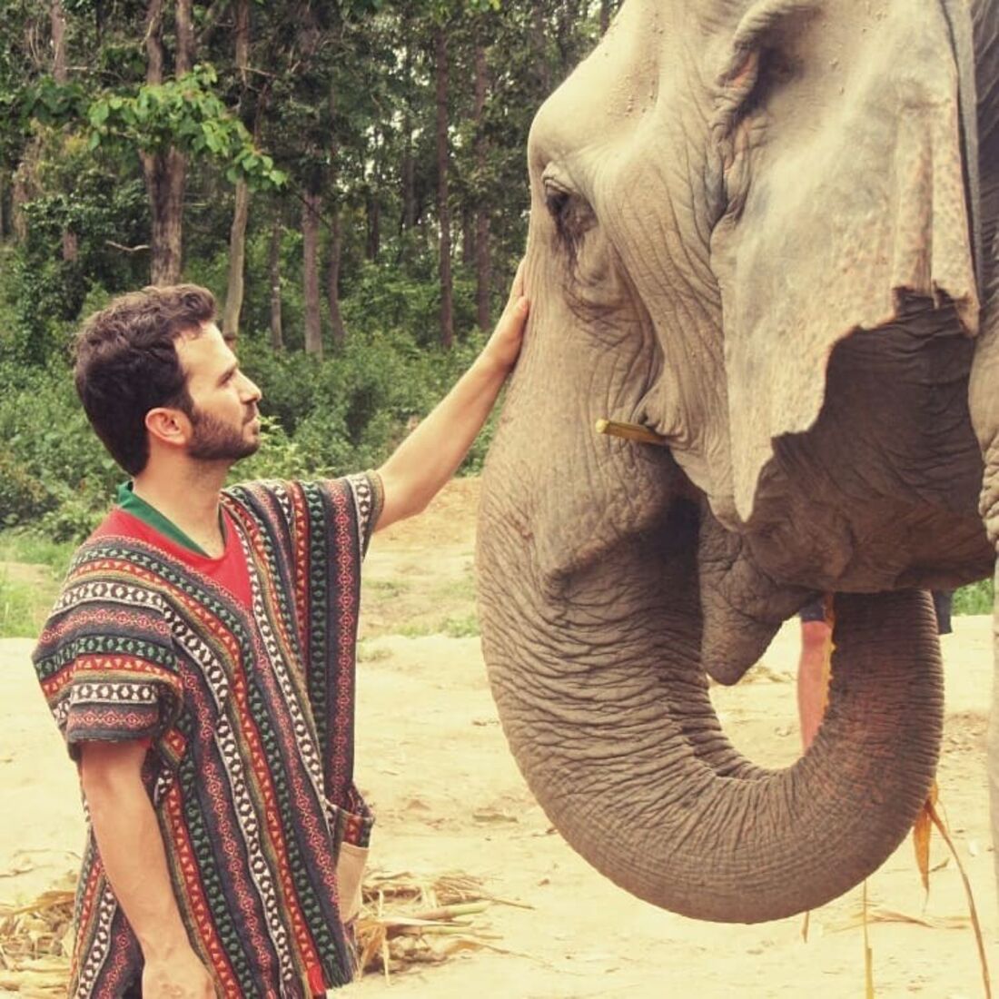 tiago castro, morangos com açúcar, ator, televisão