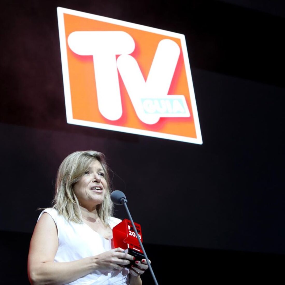 TV Guia, Prémio, Meios & Publicidade, vencedora, revista de televisão, luísa jeremias, cofina
