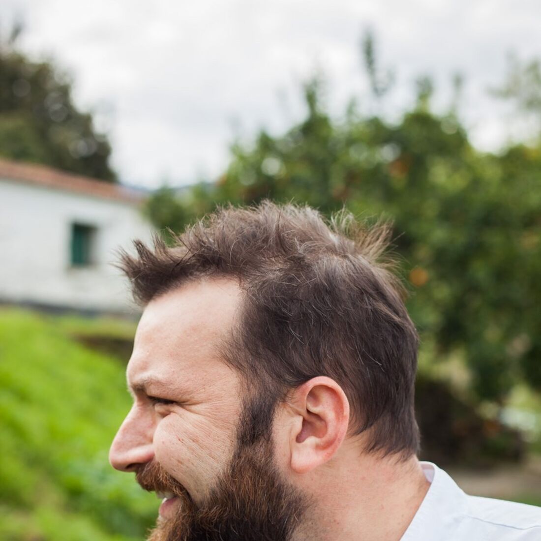 Pesadelo na cozinha, ljubomir stanisic, tvi, josé beites, marisqueira, miquipal, parede, estoril