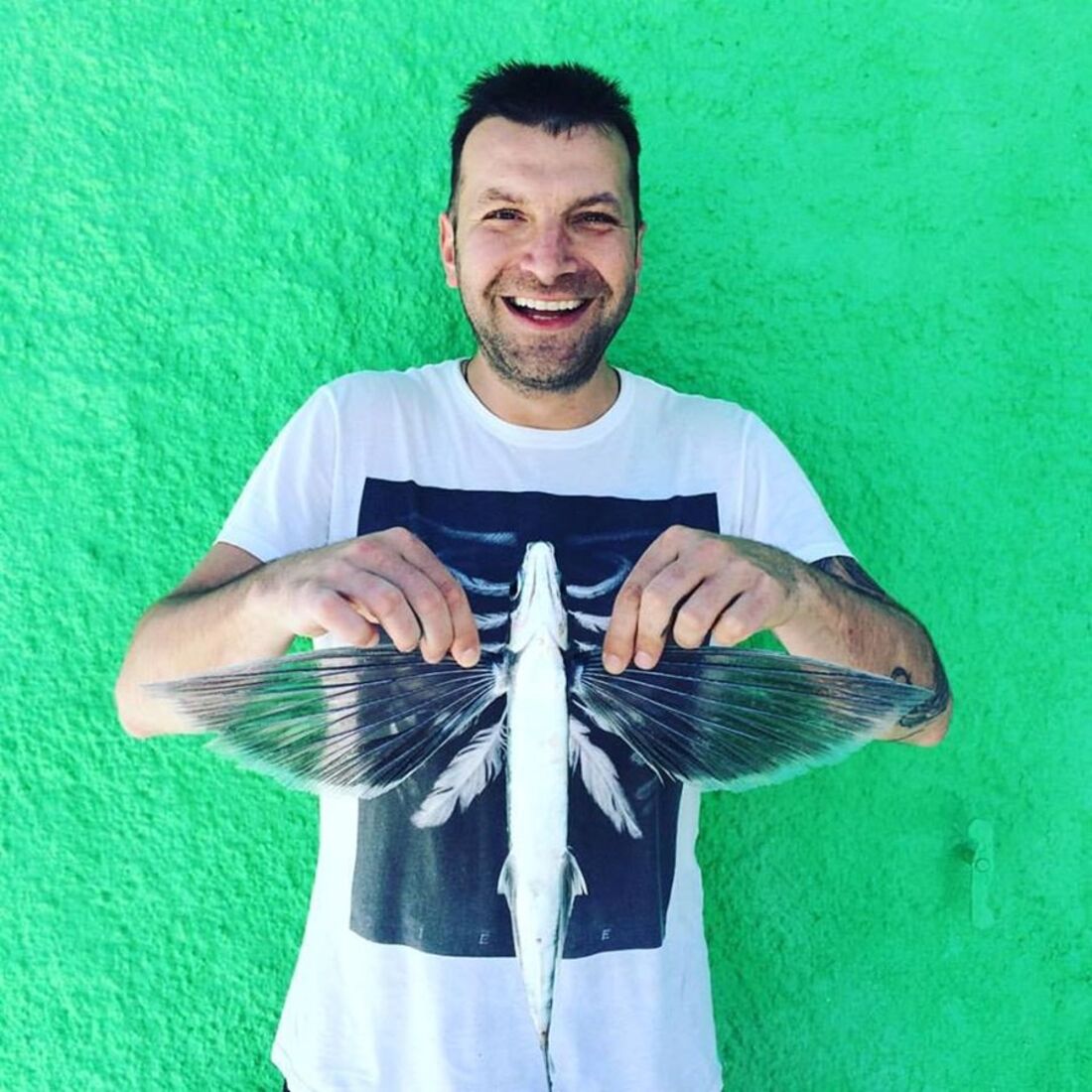 Ljubomir Stanisic