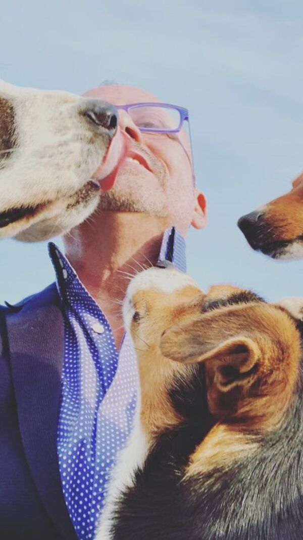 Manuel Luís Goucha, cão, goucha com animais